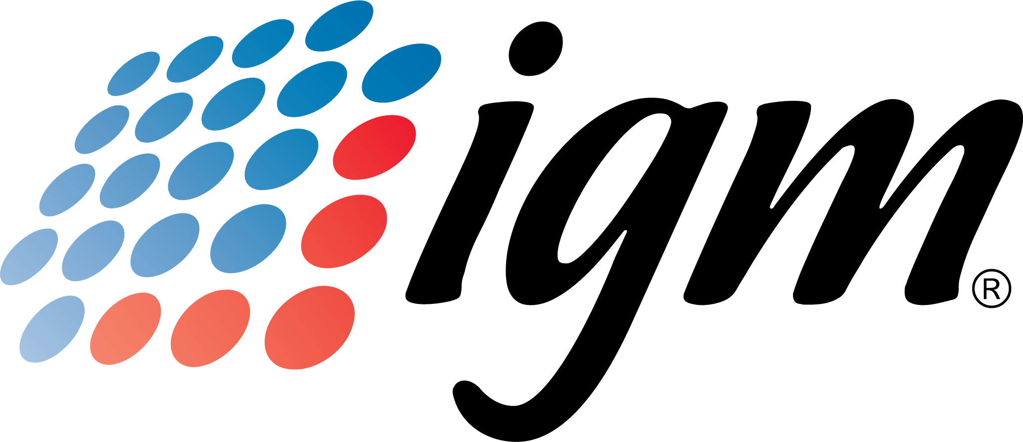 İGM Gıda Logo
